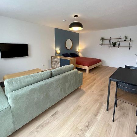 Grand Studio Joli Coeur - Calme Cosy Lumineux + Parking Appartamento Nancy Esterno foto