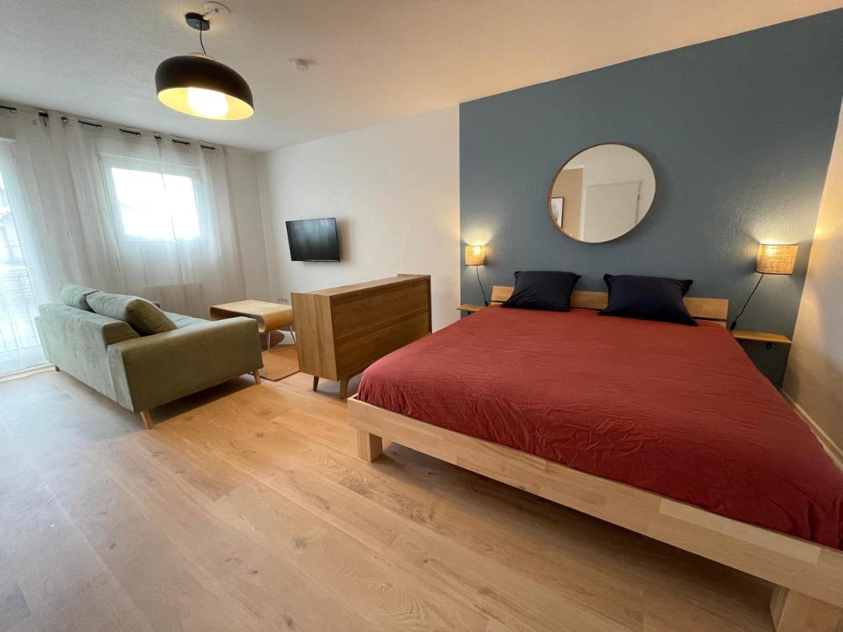 Grand Studio Joli Coeur - Calme Cosy Lumineux + Parking Appartamento Nancy Esterno foto